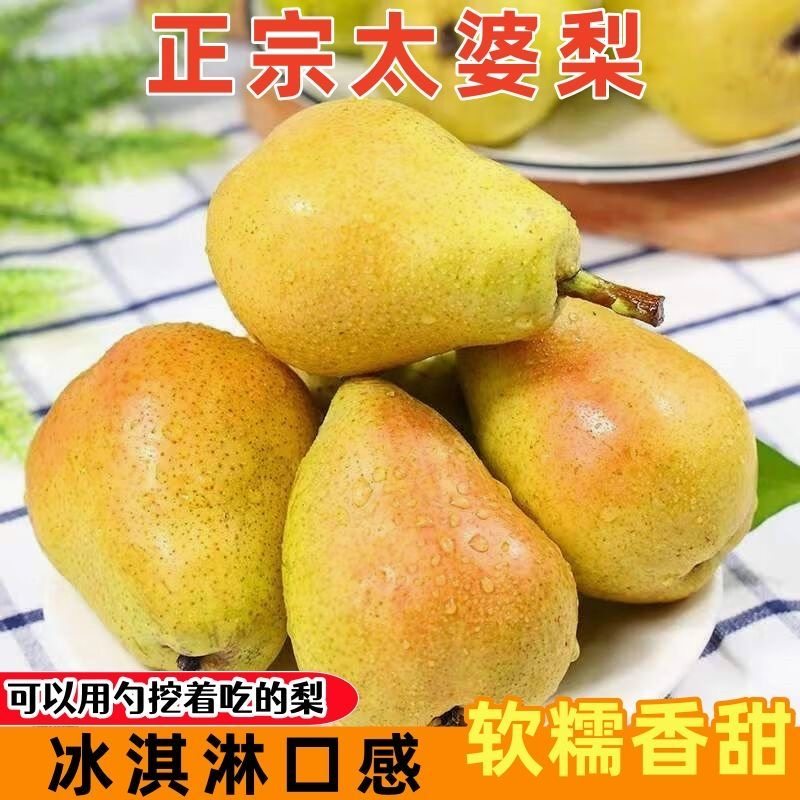 甘肃老品种香蕉梨包邮整箱新鲜当梨