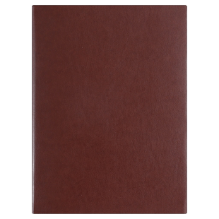 （50本）笔记本子定制大学生学习记事本村委团支部党建工作会议记录本单位企业公司加厚本子封面定制可印logo