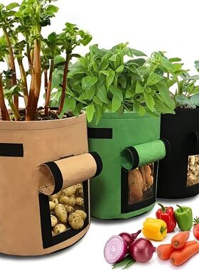 加厚毛毡种植袋适合种土豆番薯胡
