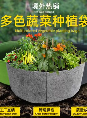 森景植物袋无纺布自吸盆