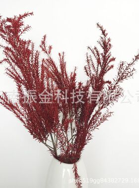 云南永生花千层金干花礼盒