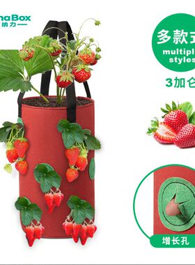 吊挂式12口草莓种植袋