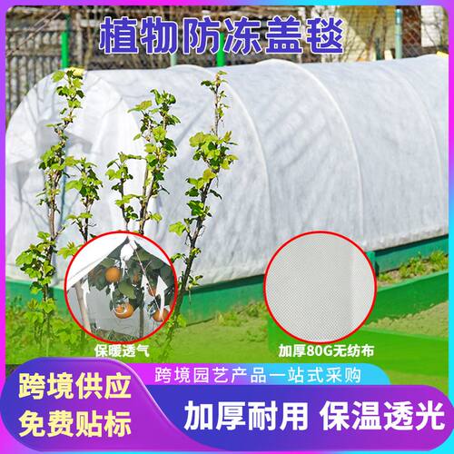 植物防寒布加厚无纺布防冻毯