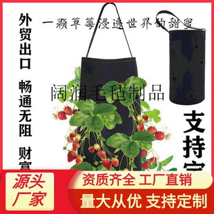 供应毛毡草莓种植袋 挂式草莓裸根植物生长容器 无纺布美植袋
