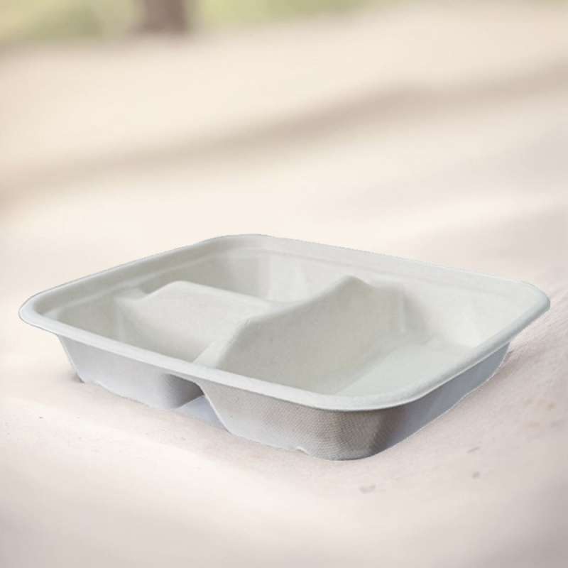 环保可降解甘蔗浆多格外卖餐盒