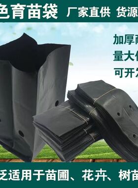 黑色加厚育苗袋营养钵种植袋