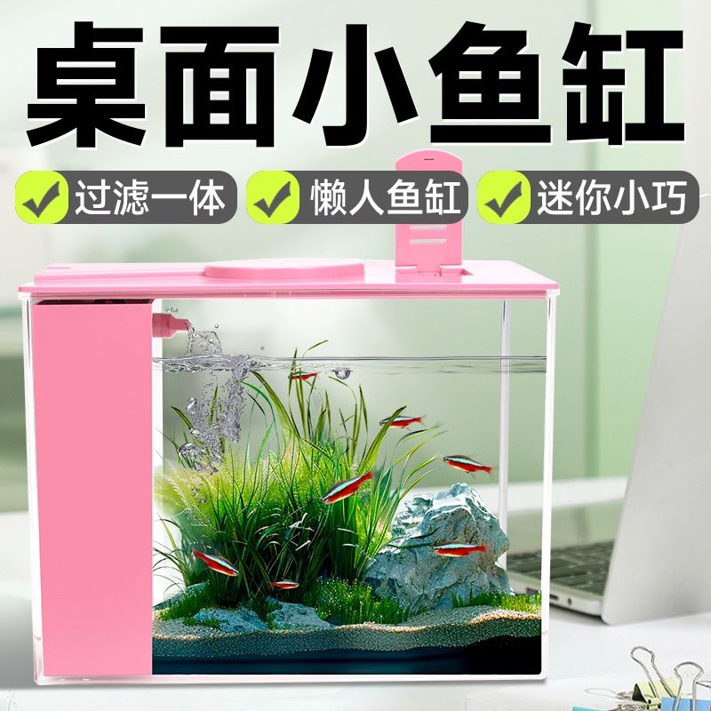 雨林生态宠物饲养箱60