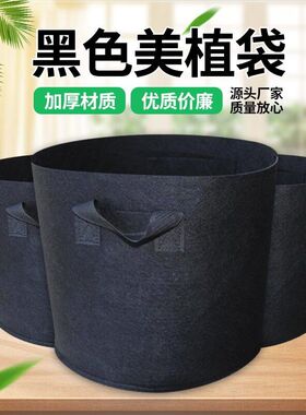 无纺布种植袋育苗生长袋