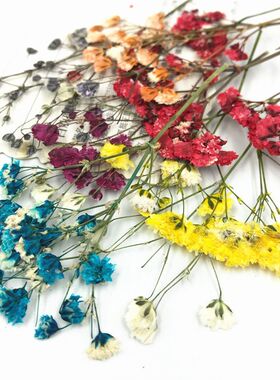 干花压花植物标本真花滴胶手机壳书签押花台灯贴画面部装饰