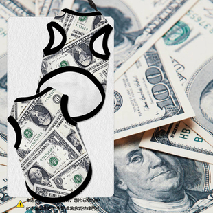 美元欧元美金世界各国钞票宠物背心狗狗猫咪衣服比熊大中小防掉毛