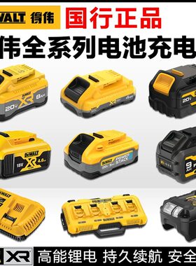 得伟国行正品快速充电器性能电池
