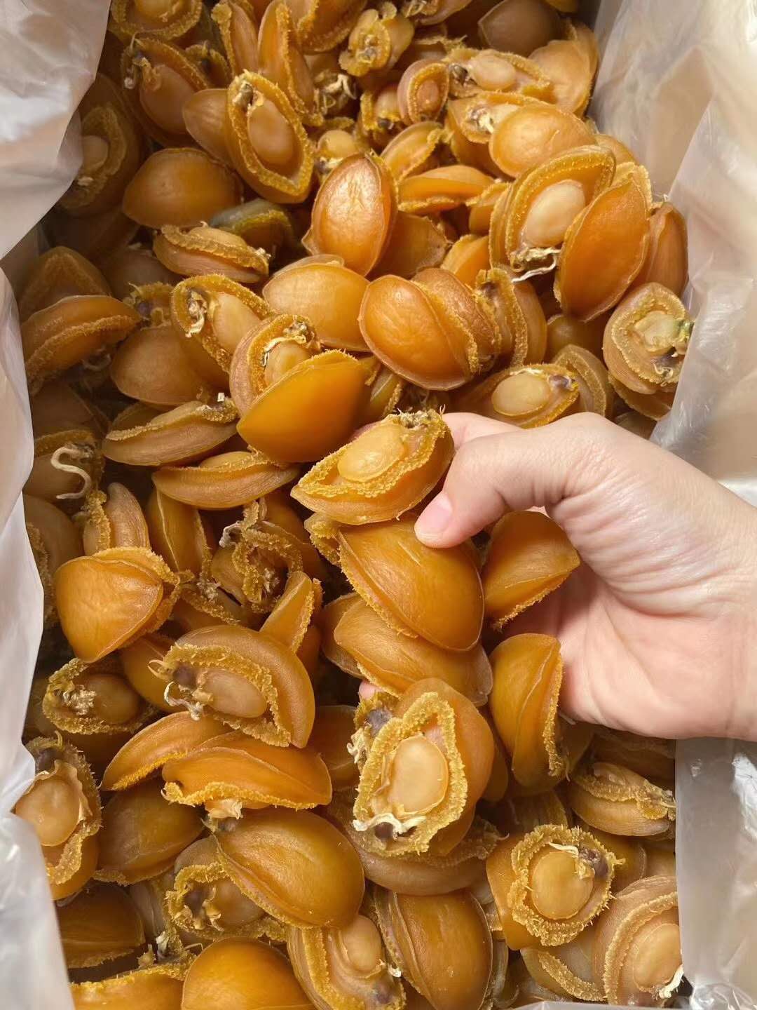 酒店家庭50头大连鲍鱼干小鲍鱼仔 海产品干货 500g包邮一斤装