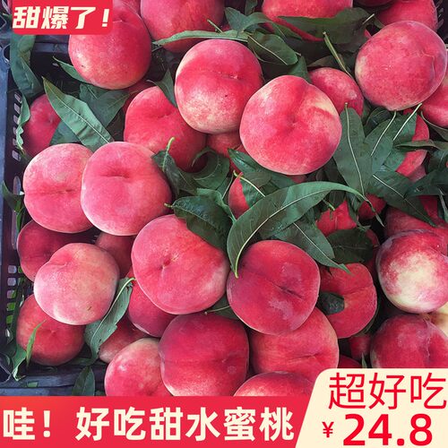 现摘桃水蜜桃10斤砀山新鲜水果