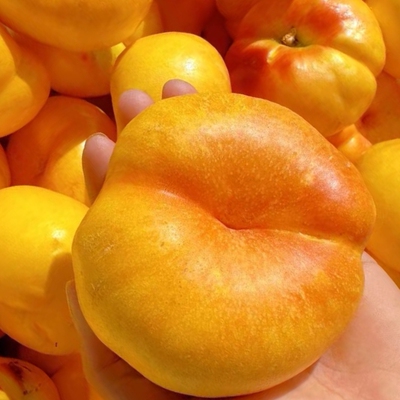 现摘彩虹蟠桃5斤新鲜水果山东蒙阴黄金桃当季孕妇蜜桃油桃毛桃甜9