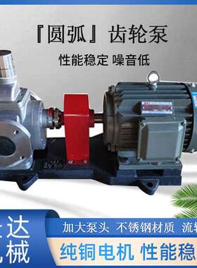 不锈钢齿轮油泵 YCB圆弧油泵 低噪音润滑油柴油泵 船用增压齿轮泵