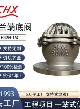 H42H法兰端底阀8英寸等级150 LB ASTM A351带过滤器的铸钢底阀