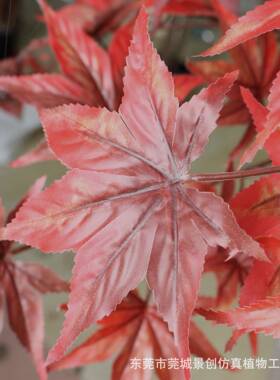 型仿真红枫树 鸡大槭FOF中爪式禅意山水庭院枯室内 仿真枫树盆栽