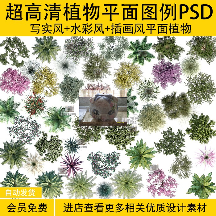 PS134竞赛清新写实插画风水彩墨风景观平面图植物平面图例PSD素材