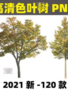 高清PS红黄色叶树乔木植物效果图后期png免扣园林景观拼贴风素材