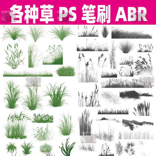 园林景观PS笔刷草abr素材PS画笔草本植物立面效果图后期素材