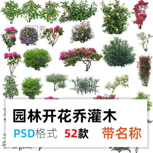 景观立面开花乔木灌木植物PS木香紫薇月季山茶樱梅花石榴psd素材