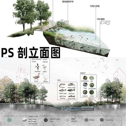 灰调小清新滨水湿地公园psd竞赛风剖立面海绵城市分析图ps素材