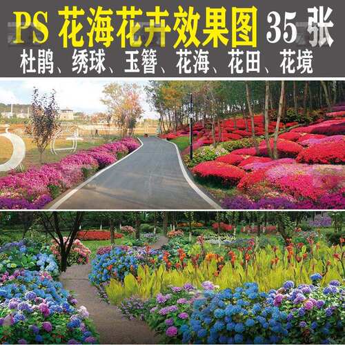 美丽乡村ps花海田提质改造效果图psd杜鹃玉簪绣球花卉分层素材