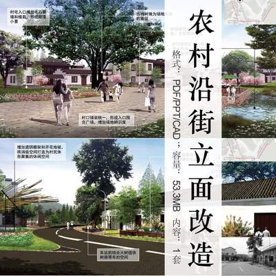 美丽乡村街景综合整治建筑景观沿街路面改造案例分析方案文本素材