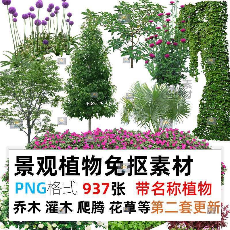 绿化植物景观园林png免扣高清花草树木乔灌木丁香紫藤爬藤绿篱ps