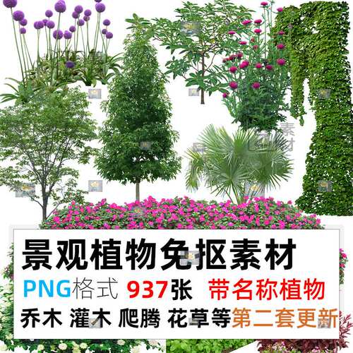 绿化植物景观园林PNG免扣高清花草树木乔灌木丁香紫藤爬藤绿篱PS