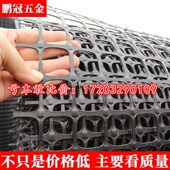 土工格栅塑料网养鸡养鸭养鹅围栏网防护网漏粪网鱼塘果园护栏网格