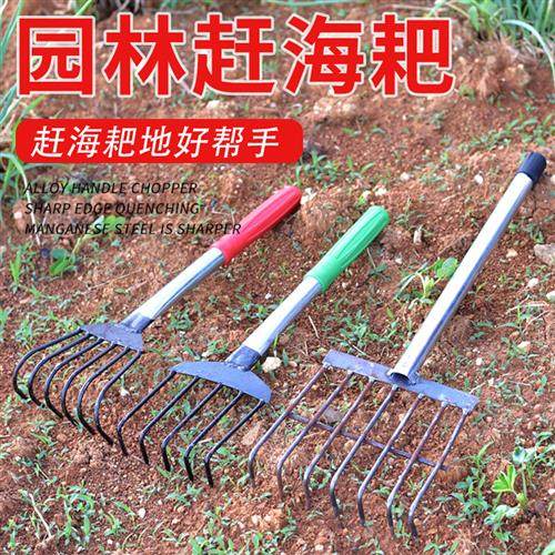 赶海专用工具耙子挖螺挖蚬挖蛤蜊神器铁耙花蛤贝壳钉耙抓钩农具,农机/农具/农膜,耙子,淘宝优惠券,粉丝福利购,淘宝优惠卷