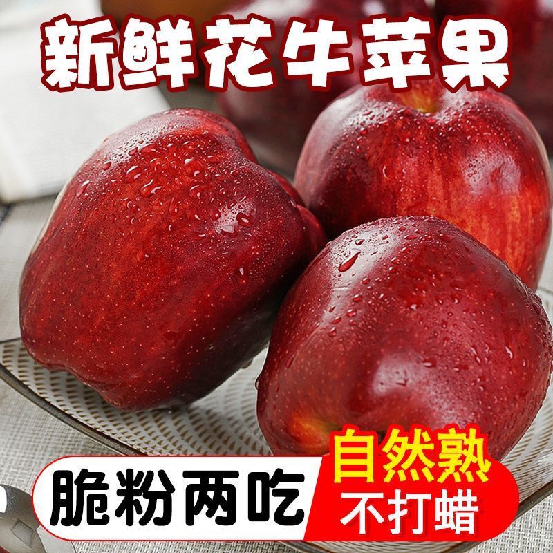 甘肃花牛苹果宝宝辅食刮泥