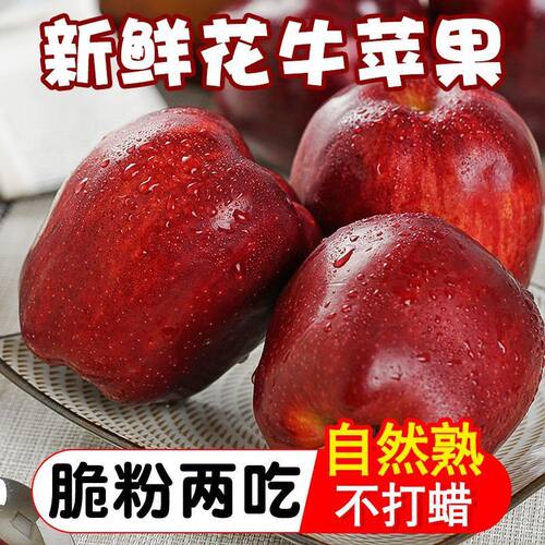 花牛苹果甘肃天水10斤粉面沙甜宝宝辅食水果新鲜当季整箱蛇糖心果