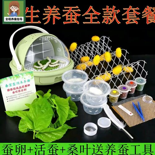 蚕宝宝春蚕卵种籽新鲜嫩桑叶