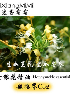 中国金银花单方精油忍冬精油天然植物精油正品超临界萃取扩香香薰
