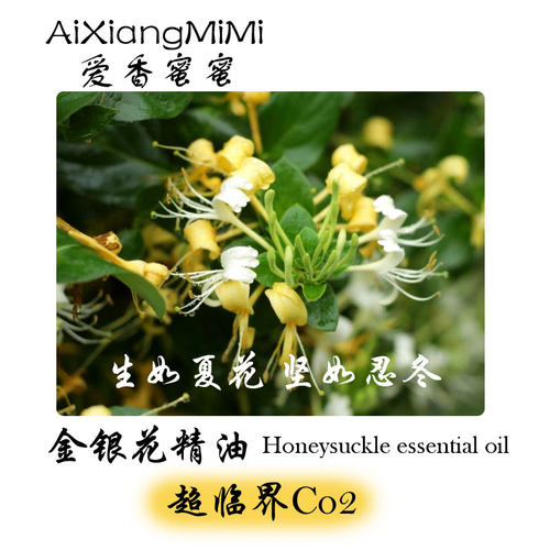 中国金银花单方精油忍冬精油天然植物精油正品超临界萃取扩香香薰