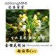 中国金银花单方精油忍冬精油天然植物精油正品 超临界萃取扩香香薰