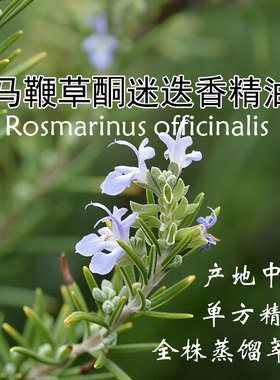 马鞭草酮迷选香精油10ml纯单方精油植物蒸馏