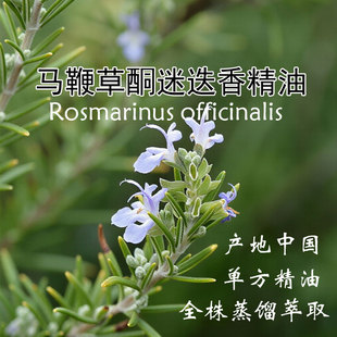 马鞭草酮迷选香精油10ml纯单方精油植物蒸馏
