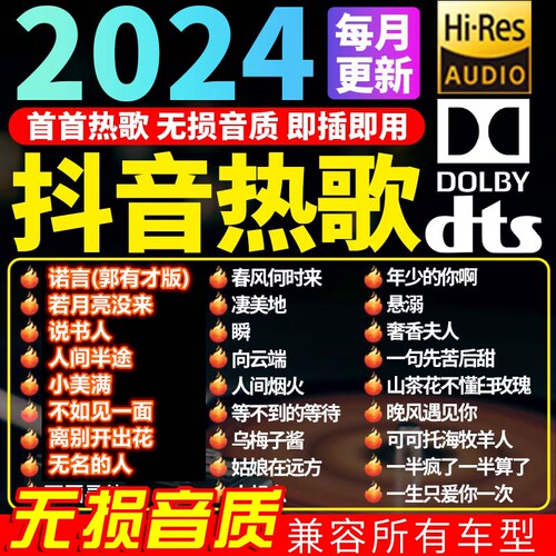 车载u盘歌曲2024新款流行抖音热门DJ歌曲无损高音质Type-C口优盘