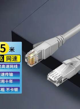 缔造者(DIZA)超五类六类网线CAT5e带水晶头网线成品电脑网络跳线