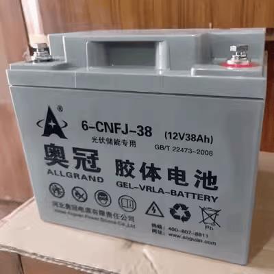 河北奥冠胶体蓄电池6-GFM12V120A100A65A38A24A20A17AH 备用电源