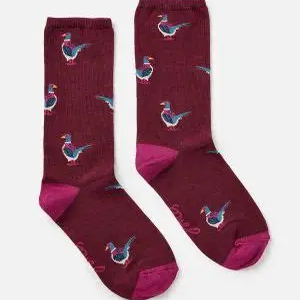 出口英国竹纤维抗菌纯棉中筒男女大童成人袜子miss sparrow