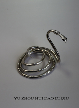 宇宙回到地球蛇形项链