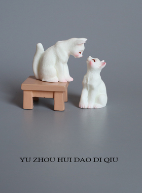 无聊了看猫咪亲亲！秀恩爱