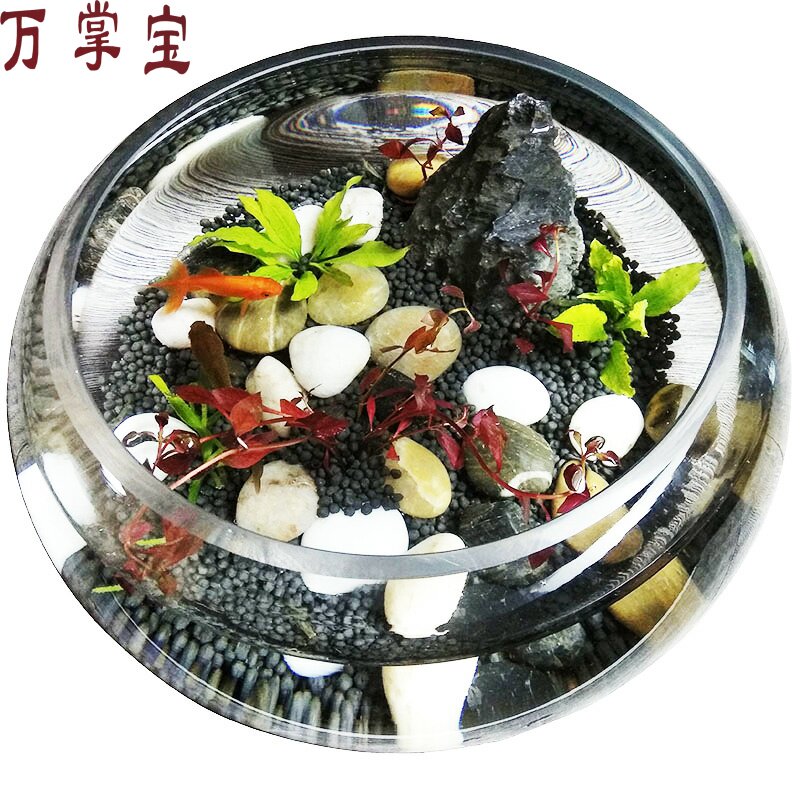 小型办公室鱼缸客厅小金鱼圆加厚