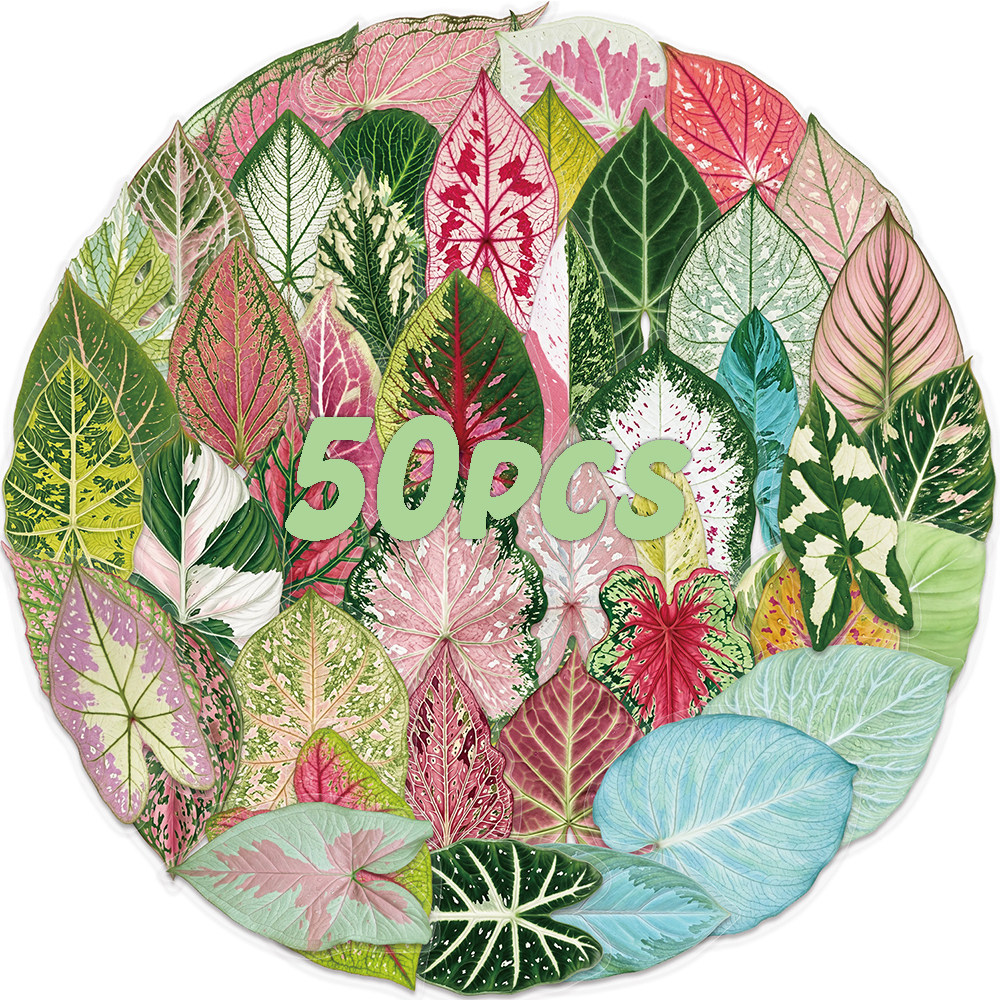 50片装原创手绘叶子拼贴贴纸