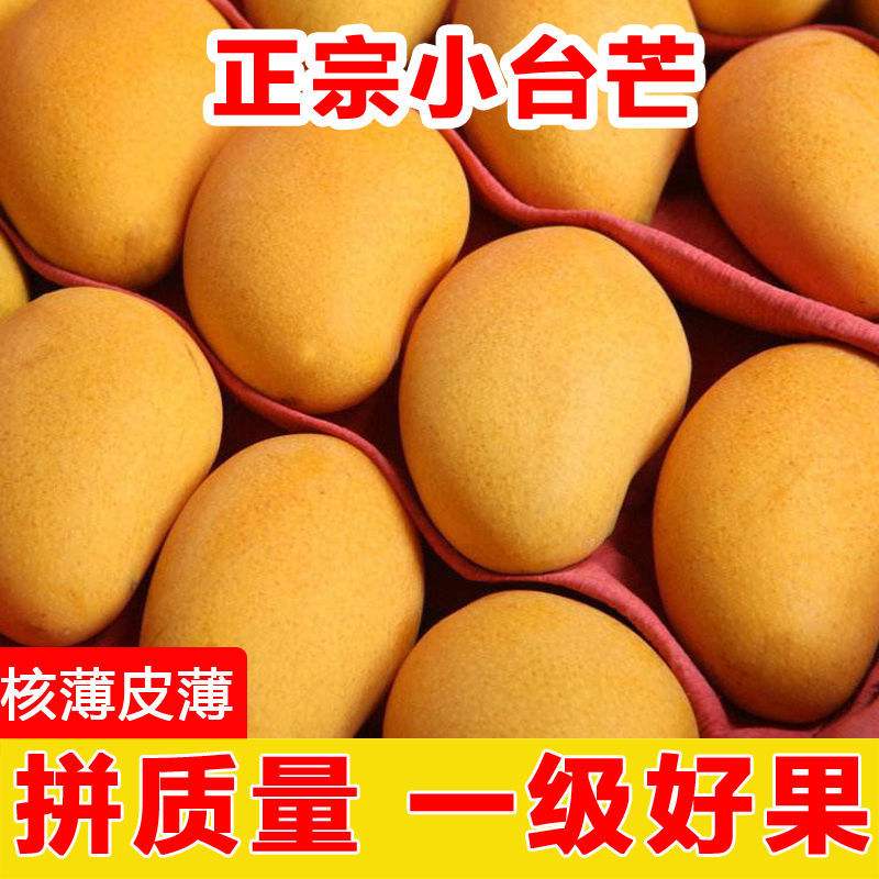 爱上海南小台农新鲜台农黄皮芒