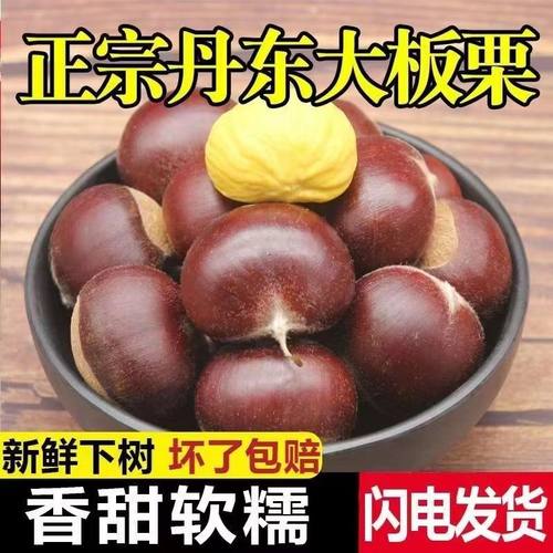 爱上丹东板栗新鲜现摘生毛仁野生